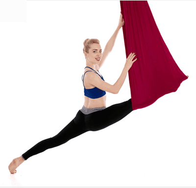 Premium Aerial Yoga Hammock - HotSnap