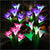 Solar Powered Garden Flower Lights - HotSnap